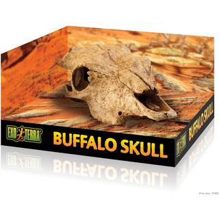 EXO TERRA - Cave Buffalo Skull - (222.2057)
