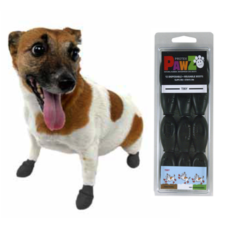 Buster Pawz - Dog shoe XXS 3.8cm black 12 pcs - (278093)