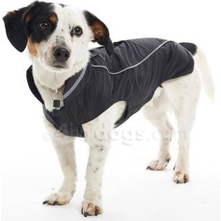 Buster - Raincoat Blackberry M/L 44cm