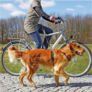 Cykel-og joggingline