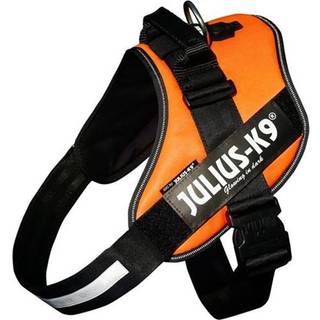 Julius-K9 IDC harness size. 4 UV Orange