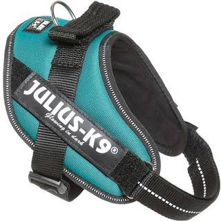 Julius-K9 IDC Sele Rosa - Mini-Mini