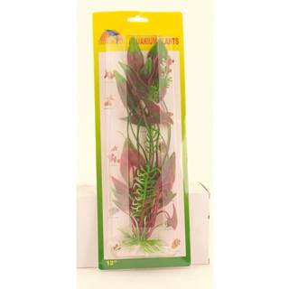 Meadow Arrowhead plant plastic 30 cm