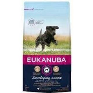 EUKANUBA Junior Developing Large kylling 12 kg