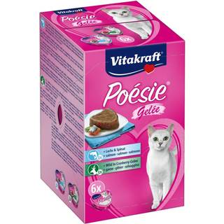 Poésie multip. Création gelé