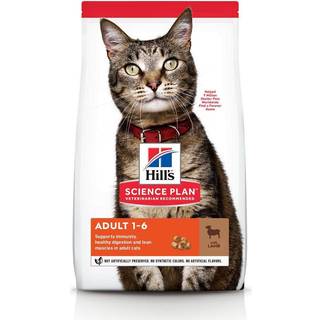 Torrfoder Hill's Science Plan Katt Vuxen Lamm & Ris 10 kg