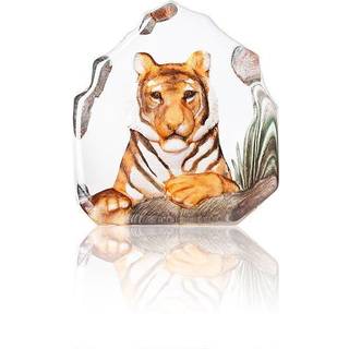 Tiger - Målerås