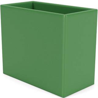 Montana Collect Organizer parsley 152