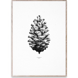 Paper Collective 1:1 Pine Cone plakat hvid, 50 x 70 cm