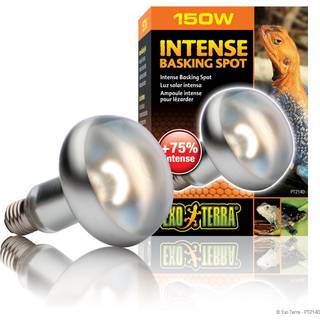 EXO TERRA Sun Glo Intense Basking Spot 50 w. m/UVA