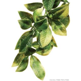 Exo TerraJungle plant mandarin small
