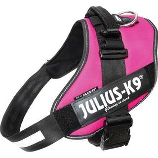 Julius-K9 IDC harness size. 3 pink