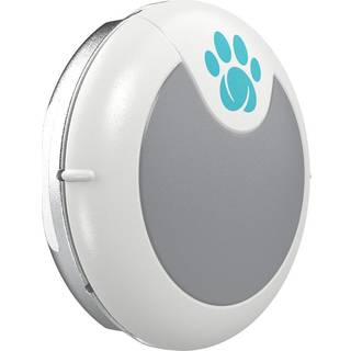 Animo Activity Tracker