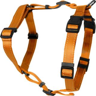 Dogman H-sele Iris orange 20mm