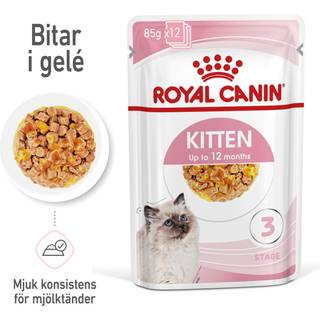 Royal Canin Kitten Jelly - 12x85 g