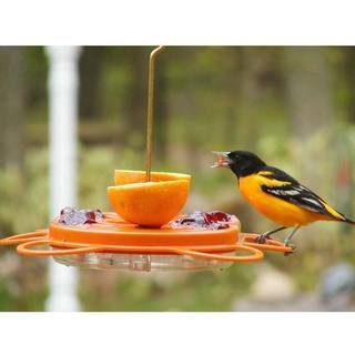 Fuglevalg Oriolefest Oriole Bird Feeder til appelsiner gelé og 12 oz nektar