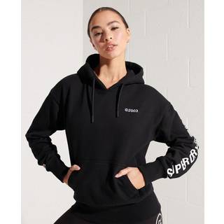 Superdry Corporate Logo hættetrøje