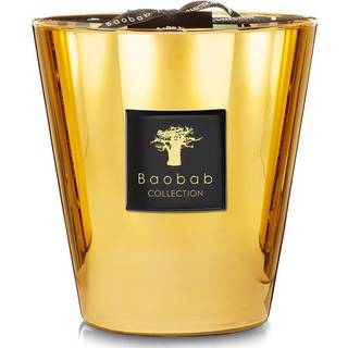 Baobab Collection Candlelight And Scents - 'Les Exclusives Aurum' candle, medium in Gold Glass & wax