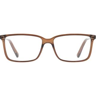Salvatore Ferragamo SF 2894 210 56 Briller Kvinder Brun - Transparent Brown - 56mm
