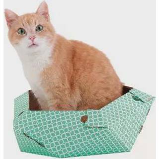 Cat-in-the-Box OLIVER Katteseng