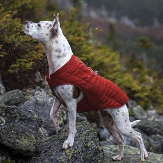 Kurgo Loft Hundejakke - Rød/Grå / L