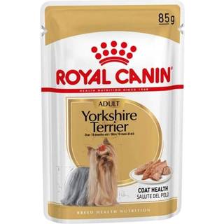 Royal Canin Yorkshire Terrier Wet 85g
