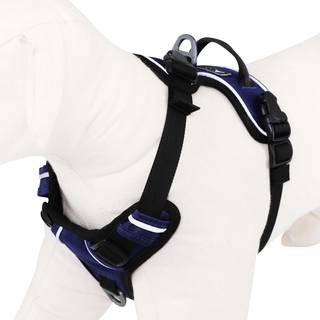 OllyDog Alpine Reflective Harness Atlantic, M