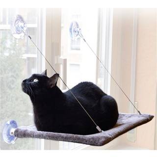 CAT VIEW Vindueseng til Katte
