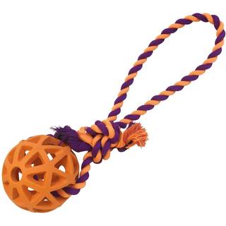 Hund Bidering Gloria rist Forskellige farber (9 cm) (9 x 30 cm)