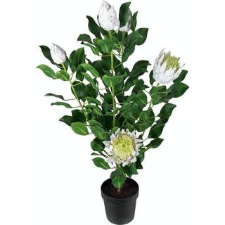 Mr Plant, Protea Potteplante 120 cm Hvid