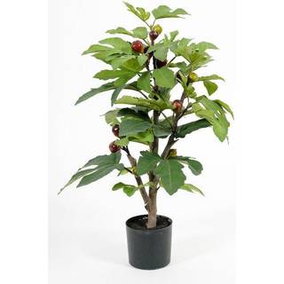 Mr Plant, Figen Potteplante 65 cm