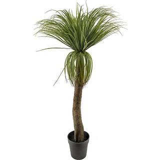 Mr Plant, Flaskelilje 130 cm