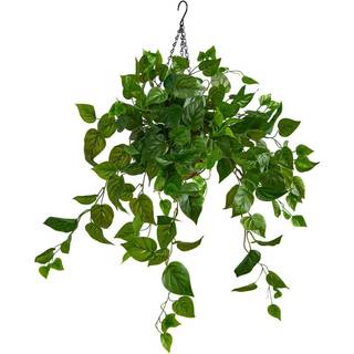 N?sten naturlig 2,5ft. Philodendron kunstig plante i h?ngende kurv