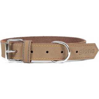 Hundehalsbånd Gloria Oasis Hvid (1,5 x 40 cm)