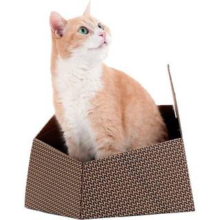 Cat-in-the-Box KITTY Katteseng