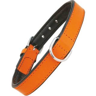 Hundehalsbånd Gloria Med puder Orange (35 x 1,5 cm)