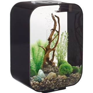biOrb LIFE 15 MCR – Sort Design Akvarium med LED Lys (15 Liter)