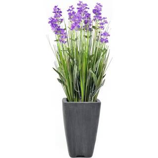 Europalms Lavender, artificial plant, purple, in pot, 45cm europalmer lavendel