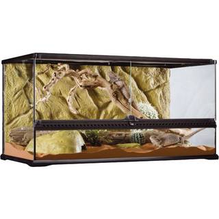 ExoTerra terrarium 60 x 45 x 45 cm.