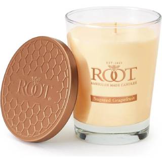 Root Candle 8870296 Honeycomb Veriglass Duftende bivoks Blend Candle Large Sugared Grapefrugt