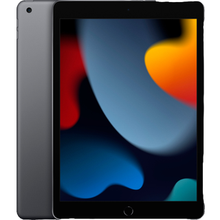 Apple iPad (2021) 10,2" Wifi 256 GB - Space Grey