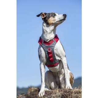 Kurgo Journey Air Dog Harness - Rød / M
