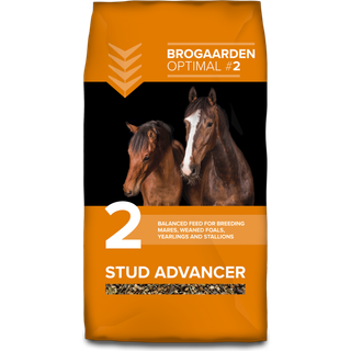 Brogaarden Optimal #2 Stud Advancer