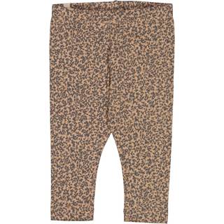 Wheat Leggings Tangled Acorn