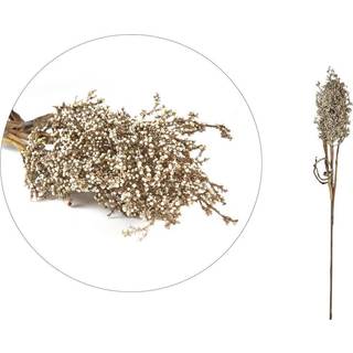 Kvist Decor fra Villa Collection - Natur farve - Polypropylene