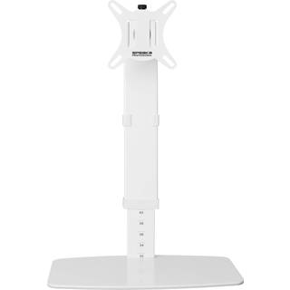 SpeaKa Professional SP-10092884 Skærm-bordbeslag 1 stk