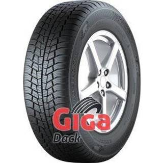 Gislaved Euro*Frost 6 3PMSF 205/55R16 91H