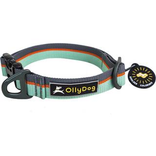 OllyDog Flagstaff Collar Surf, L