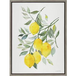 Kate og Laurel Sylvie Lemon Citrus indrammet l?rred v?gkunst af Patricia Shaw 18x24 Gr? dekorativ frugtv?gindretning