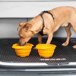 Kurgo Collaps A Bowl - Orange